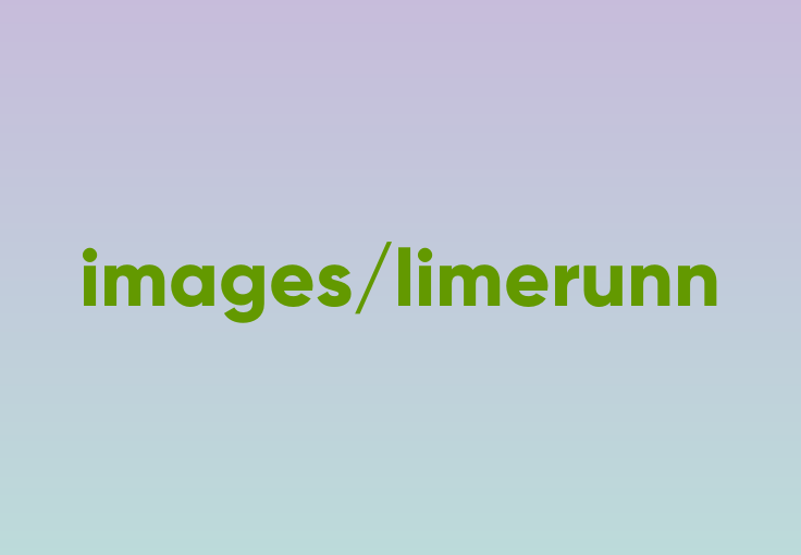 LimeRunner screen shot